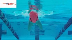 Техника_плавания_брасс