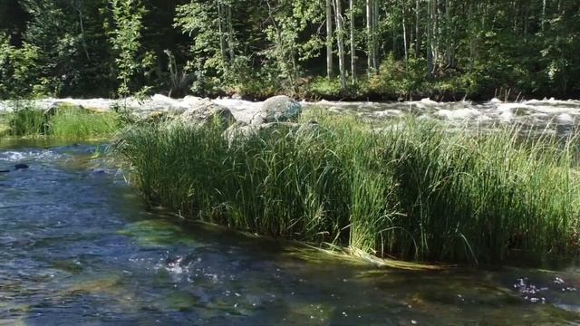 Релакс. Музыка настроения.