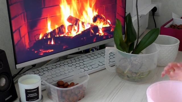 ПЕРЕСАДКА новой ОРХИДЕИ И все таки я решила пересадить орхидею смотреть онлайн