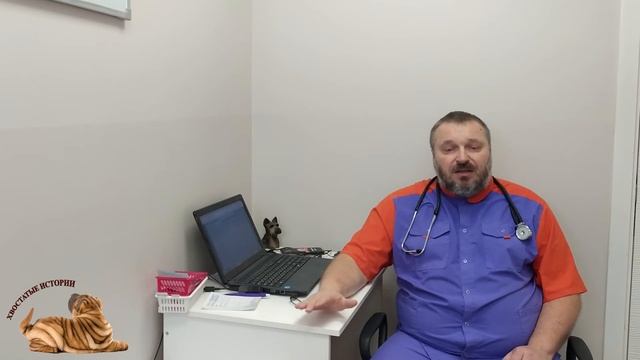 Видеожурнал "Хвостатые истории" Вопросы от зрителей. смотреть онлайн