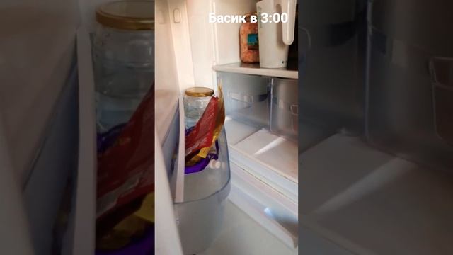 Басик залез в холодильник #басик #басики #котбасик смотреть онлайн