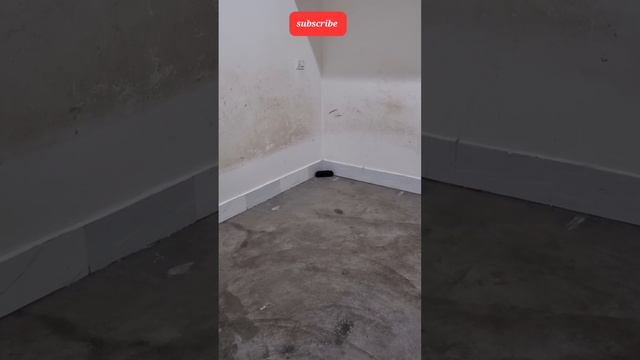 Tribit max sound plus Sound Test ??||Empty Room jabardast Sound @Speaker techs #subscribe смотреть онлайн