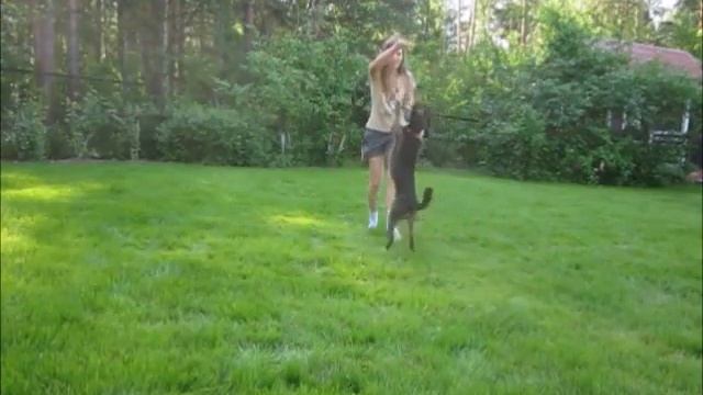 Шоколадка. Дача. Весна. смотреть онлайн