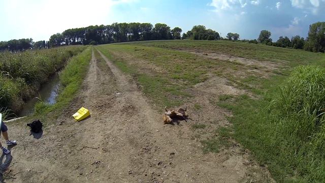 Drone MJX Bugs 3 PRO gopro black 3 смотреть онлайн