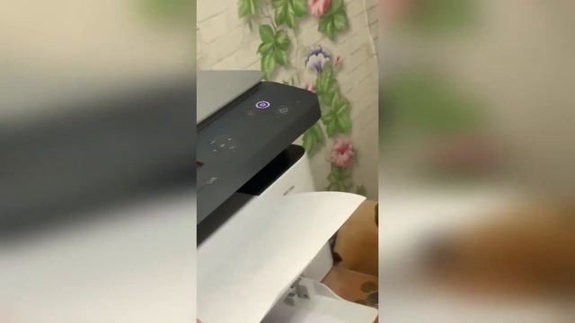 Студент года 2022. 1. Слуцкая Яна смотреть онлайн