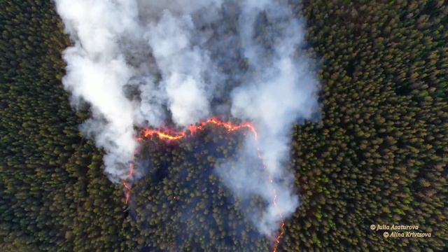 Пожар на берегах Вуоксы