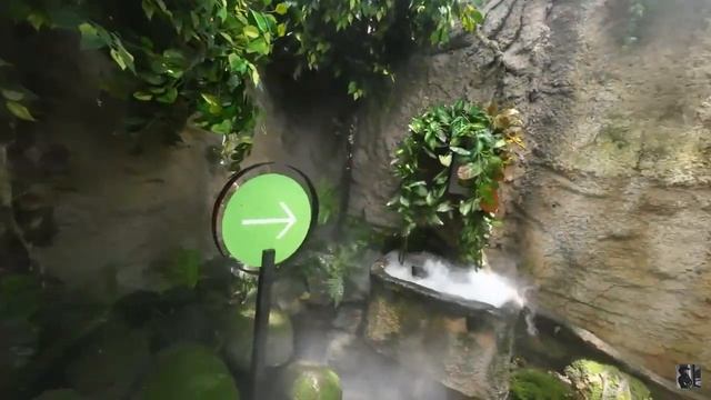 Как недорого путешествовать по Тайланду. Поездка в Чиангмай(Chiang Mai) 2023. смотреть онлайн