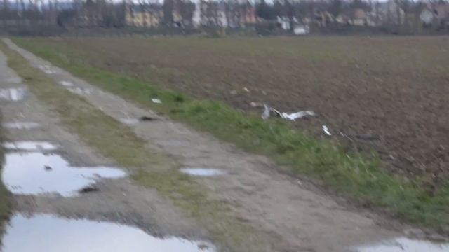 T-Rex 700 Pro DFC crashed hard - T-Rex 0 Ground 1 смотреть онлайн