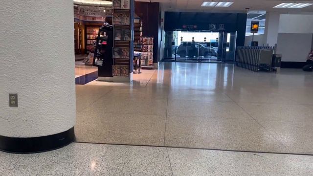 Это реально? / права на 6 лет в Америке / как добирались из Майами / Что было в пути смотреть онлайн