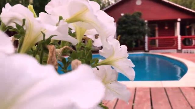 Загородная Усадьба! Лучшее место для отдыха в кругу семьи и друзей! смотреть онлайн