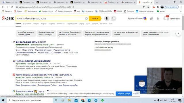 СЕО-комментарии питомника бенгальских кошек