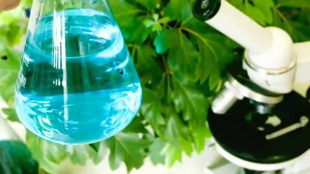 Meet Tim Blank - Developer of Tower Garden | Juice Plus+ смотреть онлайн