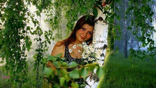 280. Николай Засидкевич - Калитка. ОТКРОЙ КРАСАВИЦА КАЛИТКУ! Я СЕГОДНЯ ТВОЙ! смотреть онлайн