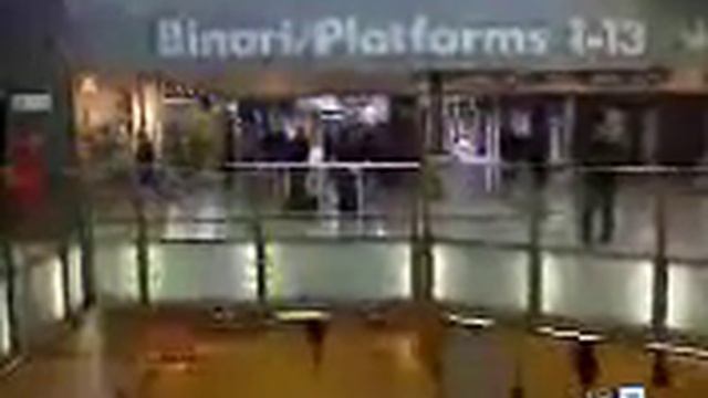 rho-fiera смотреть онлайн