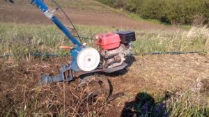 Переделанный культиватор крот в работе
