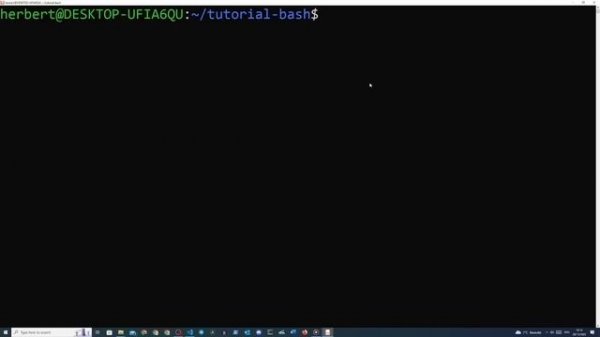 Bash Scripting Tutorial for Beginners
