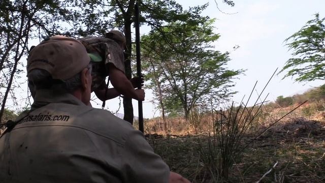 Ultimate BUFFALO Hunt + Impala, Blesbok and Warthog смотреть онлайн