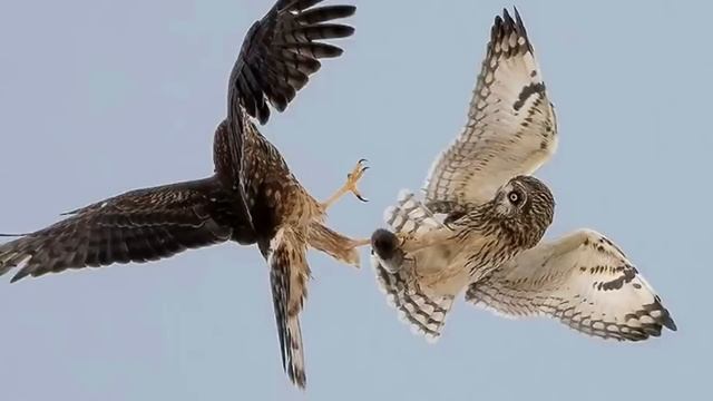 Он фотографировал небо , не ожидая того, что произойдёт через секунду!