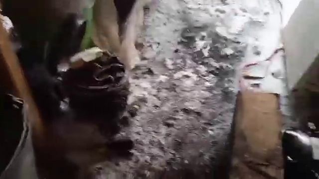 Разбор компрессоров от холодильника. Сколько МЕДИ? смотреть онлайн