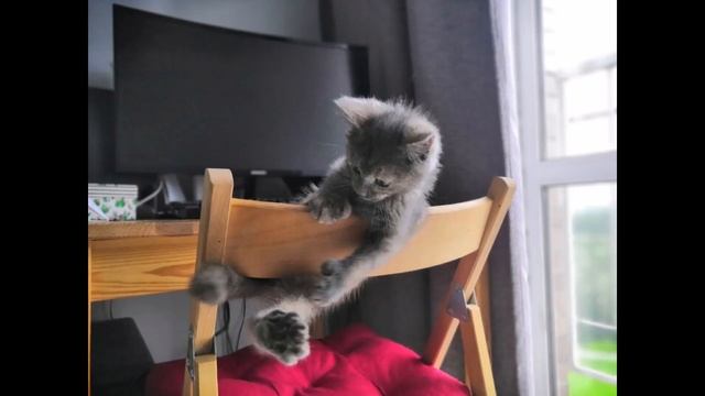 Просто еще одно душевное видео)))) смотреть онлайн