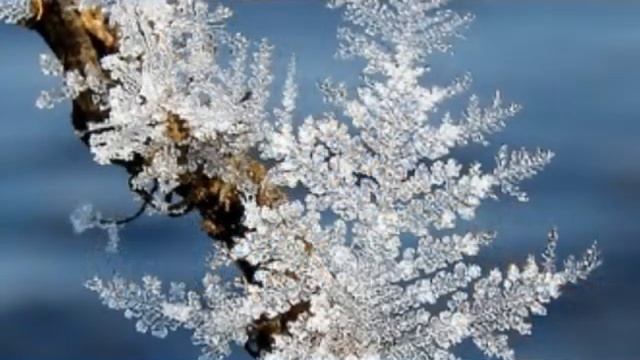 ПЕРЕХОД В ПЯТОЕ ИЗМЕРЕНИЕ (ВЗАИМОДЕЙСТВИЕ БЛИЗНЕЦОВЫХ ДУШ, НАХОДЯЩИХСЯ В РАЗНЫХ ИЗМЕРЕНИЯХ) смотреть онлайн