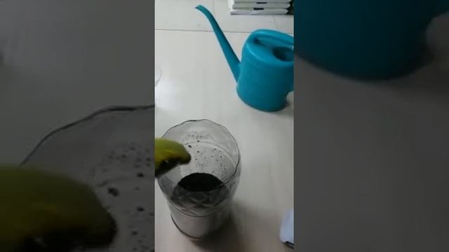 Посев лука - порея в Бутылку смотреть онлайн