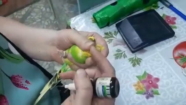 Лечения клеща наростов на клюве. смотреть онлайн