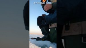 Весенняя рыбалка на озере Чаны