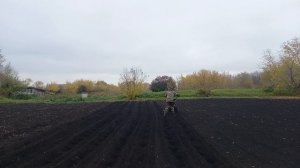 Мотоблок Карвер.  Режу борозды под посадку чеснока.