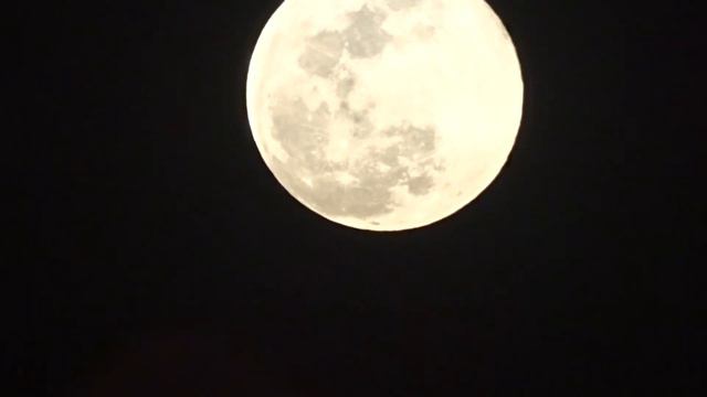 full moon | stock footage | no copyright video #fullmoon #moon смотреть онлайн