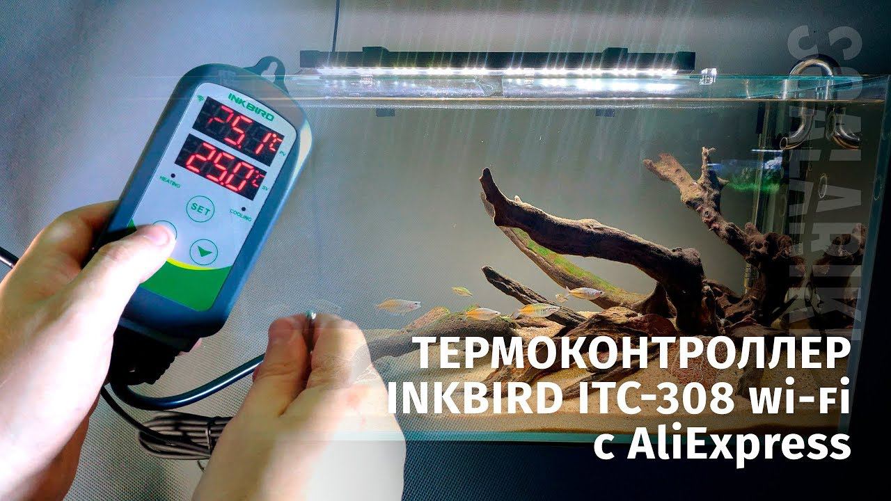 Обзор термоконтроллера Inkbird ITC 308 Wi-fi с AliExpress