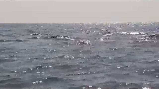 Здравствуй море... смотреть онлайн