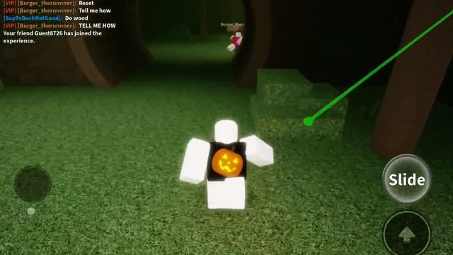 First time do safe spot in Lost Woods (Flood Escape 2) смотреть онлайн