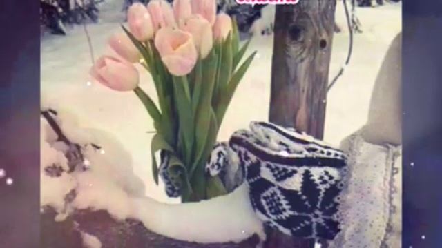 С ДНЕМ ТАТЬЯНЫ! Красивое поздравление в прекрасный ТАТЬЯНИН ДЕНЬ! смотреть онлайн