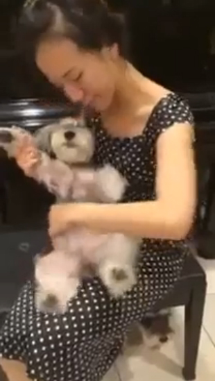 Собака вместо музыкального инструмента смотреть онлайн