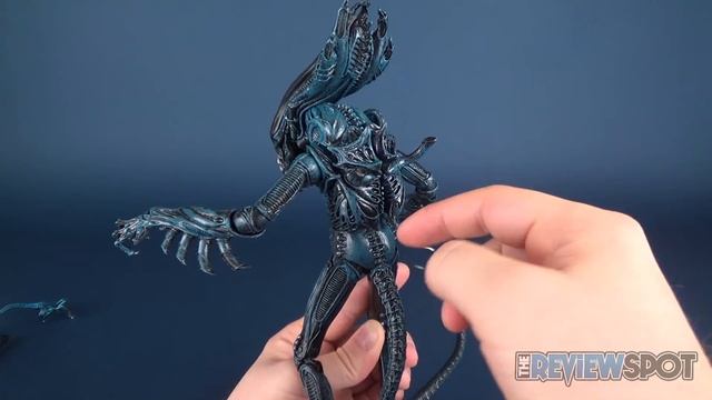 NECA Aliens Gorilla Alien Figure Review смотреть онлайн