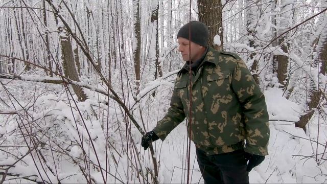 Как выбрать лозовый прут? #лозоплетение смотреть онлайн