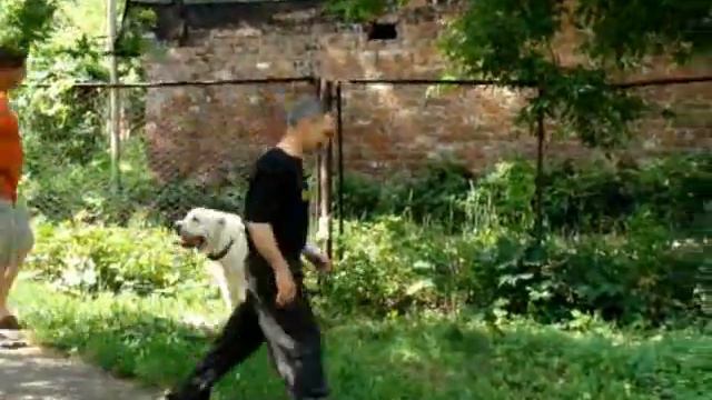 Гаплан смотреть онлайн