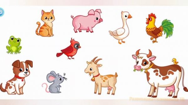 Как разговаривают животные?