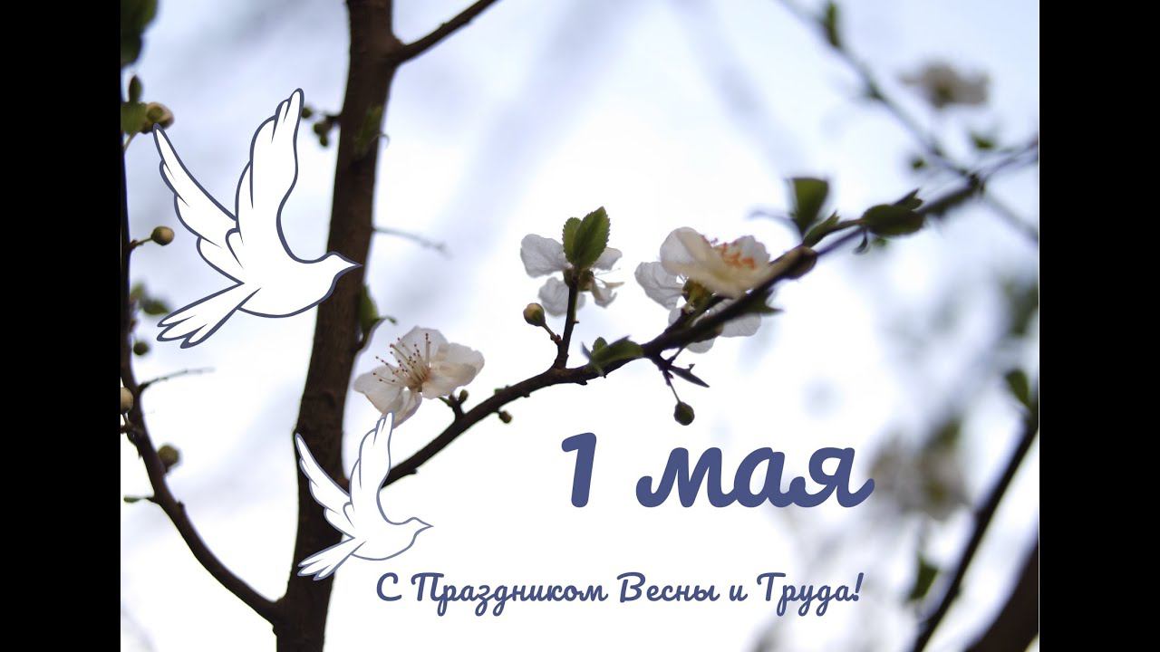 Видеочтение стихотворения Якова Акима «Первое мая!» смотреть онлайн