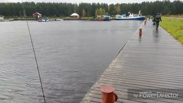 Кубок Рыбинска по спиннингу 2019 Коприно.Процесс. Погода жесть)) смотреть онлайн