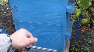 Подготовка пчёл к зимовке. Как мы готовим пчёл к зиме на примере улья аббата Эмиля Варрэ