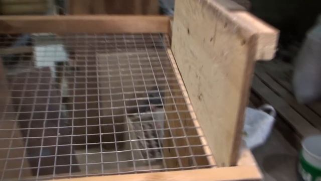 Клетка для кур несушек, наклонный пол, чистая кормушка, пошаговая сборка смотреть онлайн