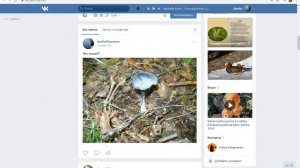 Определение гриба по фото вконтакте видео № 1 Как определить незнакомый вам гриб вконтакте онлайн?