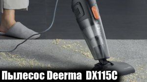 Пылесос Deerma DX115C ОБЗОР И ОТЗЫВ