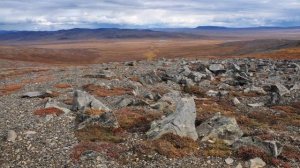 Чукотка города и поселки анадырь 2020 чукотский автономный округ певек