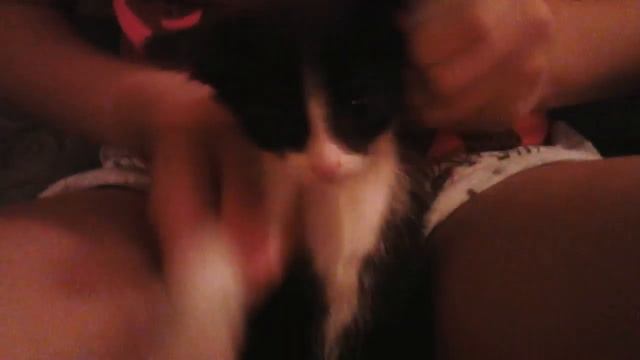 Котик барабанщик смотреть онлайн