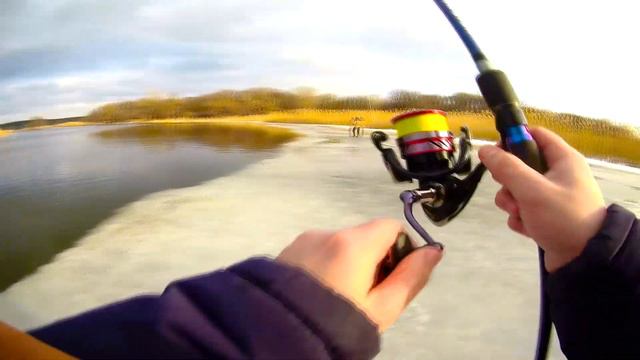 Щуки не дали ловити іншу рибу. Потрапили на вихід перед нерестом. смотреть онлайн