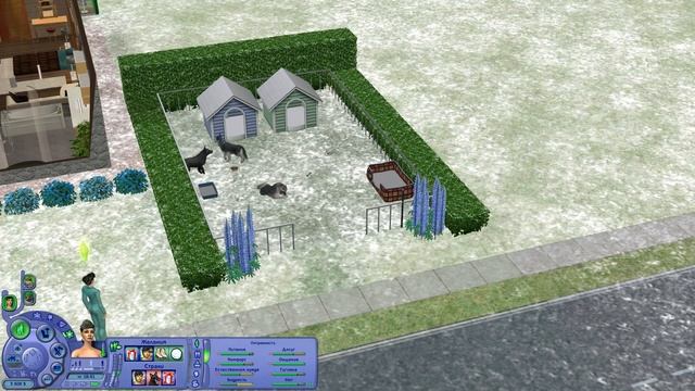 Sims 2: ЗАВЕЛИ НОВОГО ПИТОМЦА! смотреть онлайн