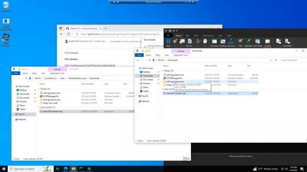 Auth.GG security bypass. Login to ANY program with auth.gg (even with Obfuscation) works offline